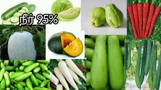 Top 10 Vegetables in Health and Water Content/ நீர் மற்றும் சத்து நிறைந்த காய்கறிகள்