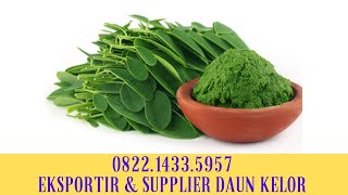 082214335957,  SUPPLIER PEMASOK TEMPAT JUAL BELI BUBUK KELOR ORGANIK DAUN KERING MORINGA BANDUNG 2