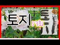 토지. 53회