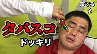 【寝起きドッキリ】寝ている人にタバスコ垂らしてみた