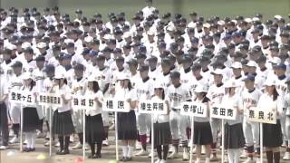 2015年夏 （磯城野高校野球部）主将 谷口仁弥 選手宣誓