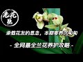 【寄养梅花老桩】承载花友的思念，一期沉甸甸的寄养开箱！全网最全兰花养护攻略 Rescue a Orchids.