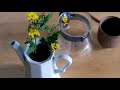 how it s made fresh chrysanthemum flower tea