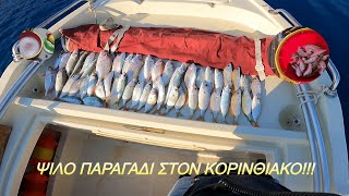 ΜΑΣ ΤΗΝ ΠΕΣΑΝΕ ΟΙ ΚΑΤΕΡΓΑΡΟΙ🐟🐠🦐🦞 !!! ΨΙΛΟ ΠΑΡΑΓΑΔΙ ΣΤΟΝ ΚΟΡΙΝΘΙΑΚΟ🪸🪼🐚 !!! - ΨΑΡΕΜΑ ΙΟΥΛΙΟΣ 2024 !!!