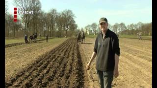 Ploegwedstrijd met paarden in Leusden