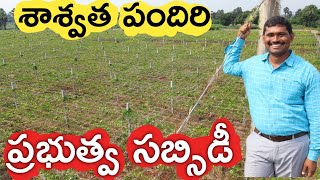 పందిరి సాగుకు ప్రభుత్వ ప్రోత్సాహం | రైతు బడి