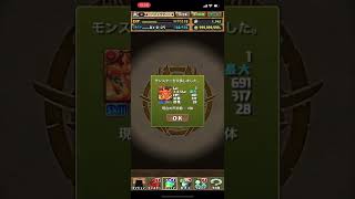 パズドラ　エンデヴァー 交換 【#2361】