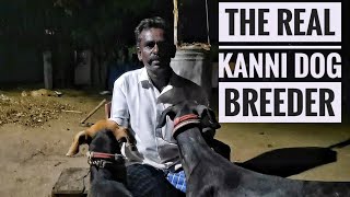 கன்னி நாய் குட்டிகள் வாங்க பாண்டி முணியசாமி அண்ணன் | The real Kanni dog breeder¦