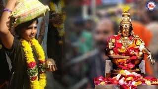 பூவை பூமாலையில் வாழும் சுவாமி | Ayyappa Devotional Video Song Tamil | Ayyappa Song