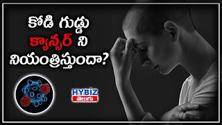 కోడి గుడ్డు కాన్సర్ ని నియంత్రిస్తుందా ? | Cancer Risk  | Dr. Bala Swamy | Hybiz Telugu