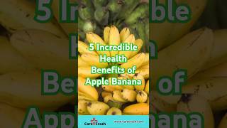 5 Incredible Health Benefits of Apple Banana | #carecrash