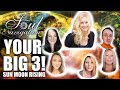 YOUR BIG 3 in the Natal Chart Sun, Moon, Rising (Astrology Basics)