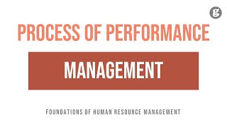 The Process of Performance Management