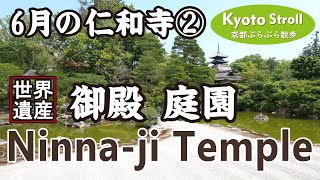 Kyoto Japan【4K】6月の仁和寺② 御殿・庭園を拝観 Visit the Goten Palace and Gardens of Ninna-ji Temple（2-4）