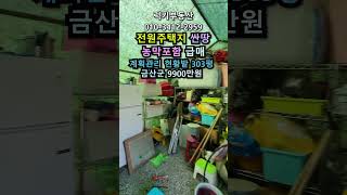 (매물번호14027) 금산부동산 1002㎡(303) 금산땅 금산토지매매매물 시골땅 촌땅 산속토지 주말농장 집터 전원주택지 급매 대전토지 대전부동산 청주땅 옥천땅 보은땅 9900만원