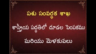 T-SAT || Rythu Mitra || శాస్త్రీయ పద్దతిలో దూడల పెంపకం  || Dr Polu Anil Kumar