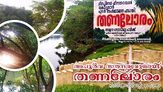 അപൂർവ സൗന്ദര്യവുമായി തണലോരം| THANALORAM | NEERIKKKAD | AYARKKUNNAM-KOTTAYAM