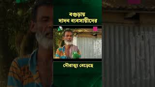 বগুড়ায় দাদন ব্যবসায়ীদের দৌরাত্ম্য বেড়েছে #ntvnews  #news  #latestnewsupdate