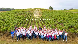 Vendanges 2019 / Harvest 2019 🍇🍷🍻