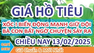 Giá hồ tiêu hôm nay ngày 13/02/2025 | Giá Tiêu Chiều Nay Biến Động Giữ Dội