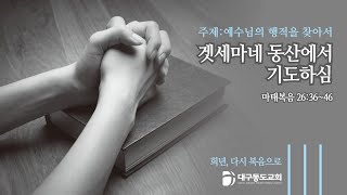 대구 동도교회 고난주간 특별 새벽기도회 / 겟세마네 동산에서 기도하심 / 최일광목사