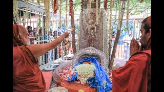 Sri Sadashiva Brahmendra Kritis, Sangeeta Samarpanam - Chaturmasya 2024