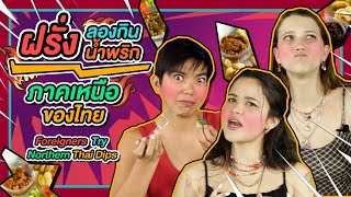 ฝรั่งลองกินน้ำพริกภาคเหนือของไทย l Foreigners Try Northern Thai Dips