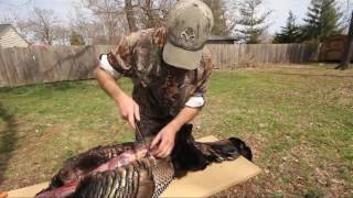 How to Make a Turkey Cape Display