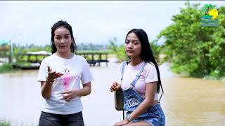 តោះទៅមើលសម្រស់កំពតឋានសួគ៌ ពីមួយថ្ងៃទៅមួយថ្ងៃកាន់តែស្អាតឡើងហើយ