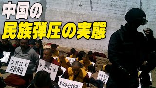 〈吹替版〉Q\u0026A  中国の民族弾圧の実態