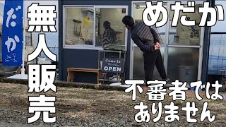 【T.C.S.メダカ】嫁が不思議そうにメダカを眺めてた‼️