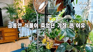 식물VLOG 식물이 죽었던 가장 큰 이유(feat. 지금도 가끔 부리는 욕심)