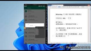 WhatsApp群发 群发效果演示