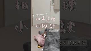 相簿清理小秘訣