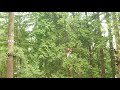 wildplay element parks wildplay aerial adventures u0026 ziplines00012