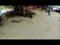 Biawak di Sapi Island