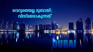 ലോകത്ത് ഏറ്റവുമധികം ചെറുപ്പക്കാർ ജോലി ചെയ്യാൻ ആഗ്രഹിക്കുന്നയിടം 👌💯 Musthafa Kaimalassery ALL IN ONE