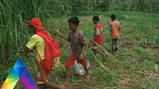 BOCAH PETUALANG - ALAM KAYA DI BARAT TULUNGAGUNG (1/3/16) 3-2