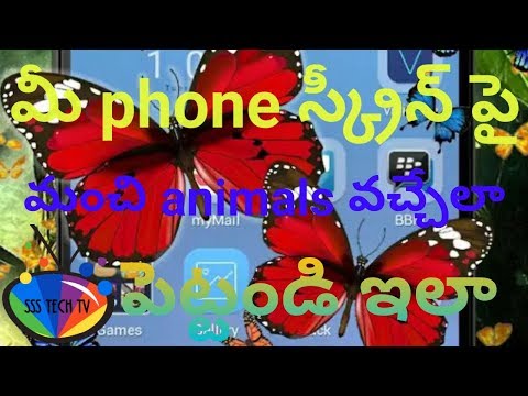How to set beautiful live animals on android phone screen|In Telugu By SSS Tech TV How to set beautiful live animals on android phone screen|In Telugu By SSS Tech TV