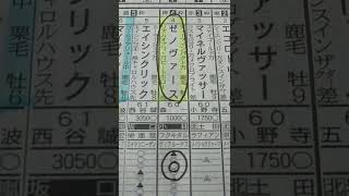 東京ジャンプステークス予想 指数１位の本命馬