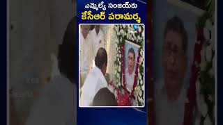 KCR Visits MLA Sanjay House | ఎమ్మెల్యే సంజయ్‌కు కేసీఆర్‌ పరామర్శ | ZEE Telugu News