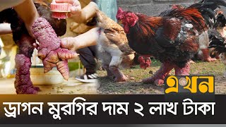 মুরগির মাংস দেখতে গরুর মাংসের মতো! | Dragon Hen | Vietnam | Ekhon TV