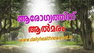 ആരോഗ്യത്തിന് ആല്‍മരം - Daily Malayalam Health Tips