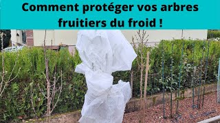 Comment protéger vos arbres fruitiers du froid