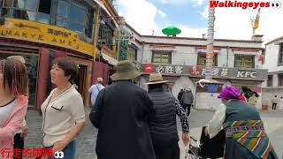 西藏拉萨（Tibet Lhasa)大昭寺广场到冲赛康市场徒步旅行随拍👀