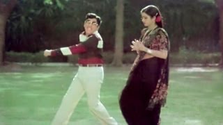 Sree Ranga Neethulu Songs - Gootikocchina Chilakaa - A.N.R, Sridevi - HD