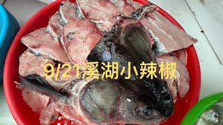 「溪湖小辣椒🌶️我們回來嘍 彰化縣溪湖鎮忠溪路386號往前200公尺 海鮮叫賣0921