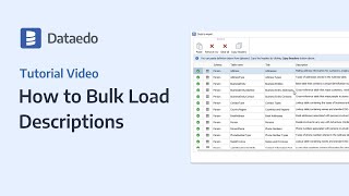 Dataedo Tutorial: How to Bulk Load Descriptions