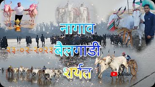 हौशी मिञमंडळ आक्षी, साखर, रायवाडी आयोजित बैलगाडी शर्यत / Nagav beach bailgadi Sharyat