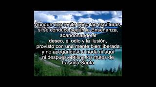 7 enseñanzas de Buda - Dhammapada